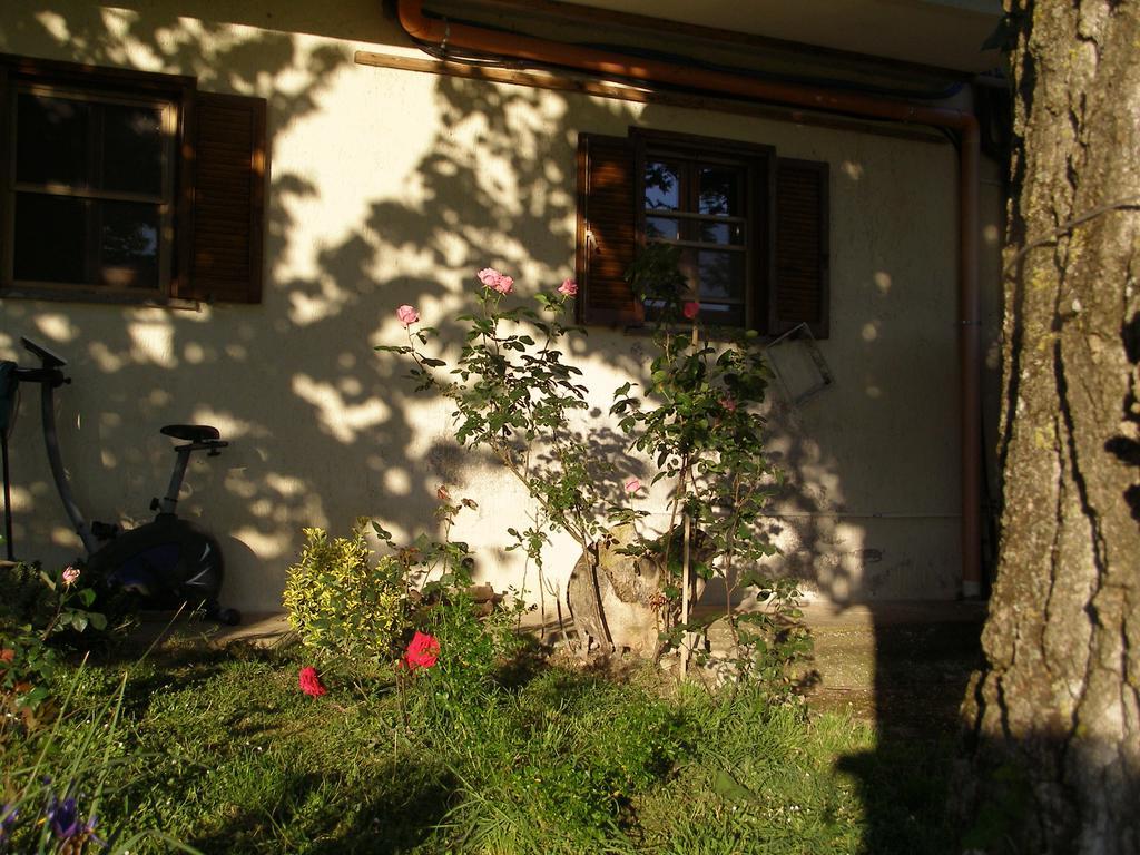 Bed And Breakfast Casale Isorella San Gemini Εξωτερικό φωτογραφία