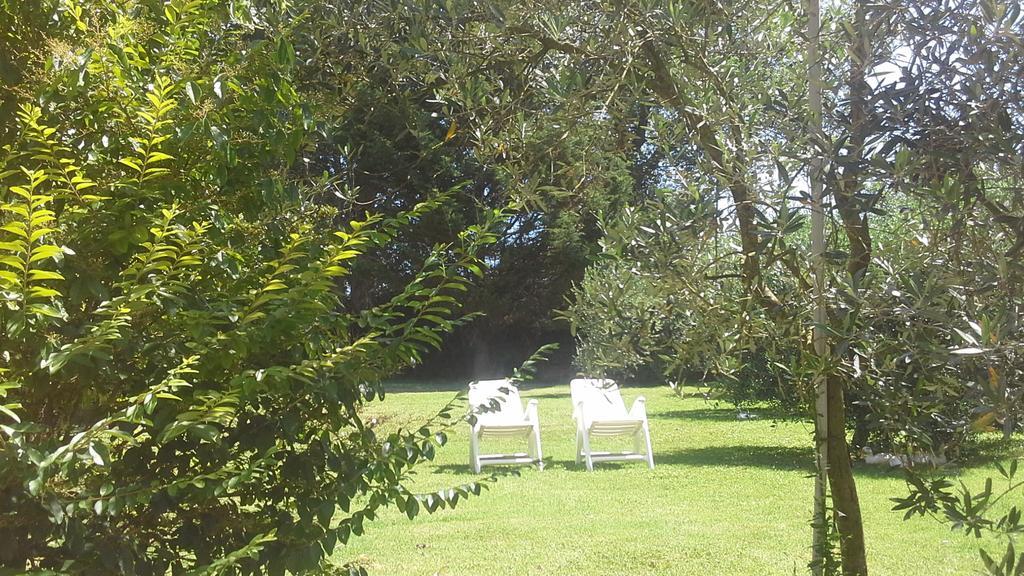 Bed And Breakfast Casale Isorella San Gemini Εξωτερικό φωτογραφία